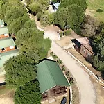 Taiga Valdevaqueros