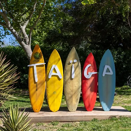 Taiga Valdevaqueros * タリファ