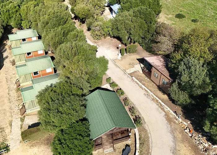 Taiga Valdevaqueros